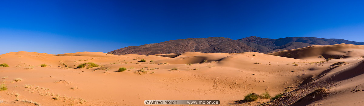 19 Sahara desert
