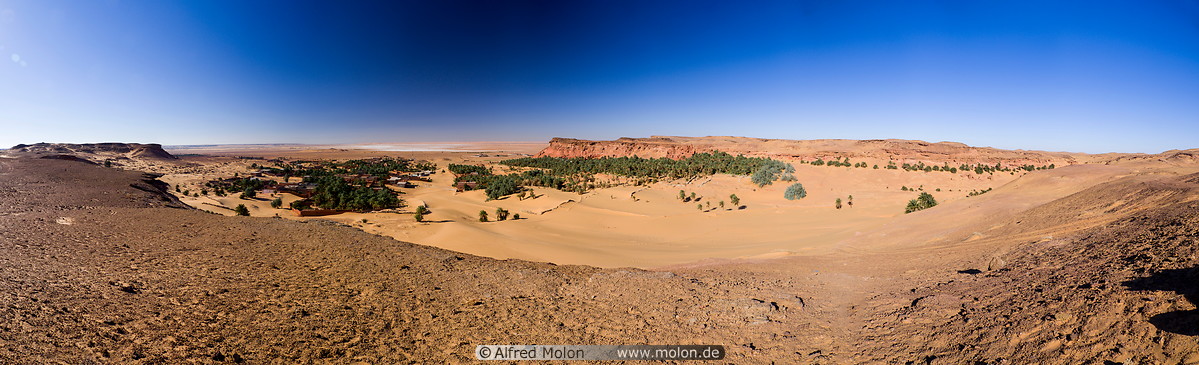 16 Desert landscape with oasis