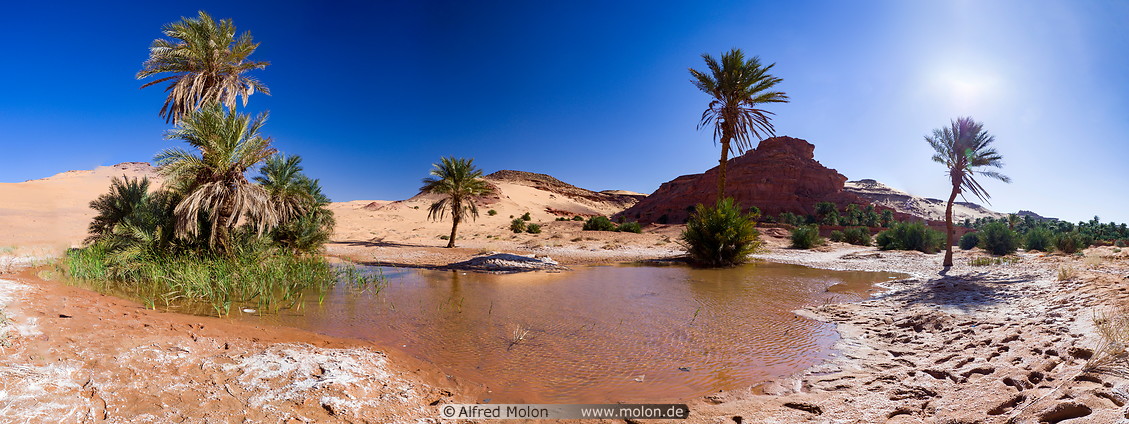 26 Desert pond