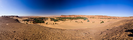 16 Desert landscape with oasis