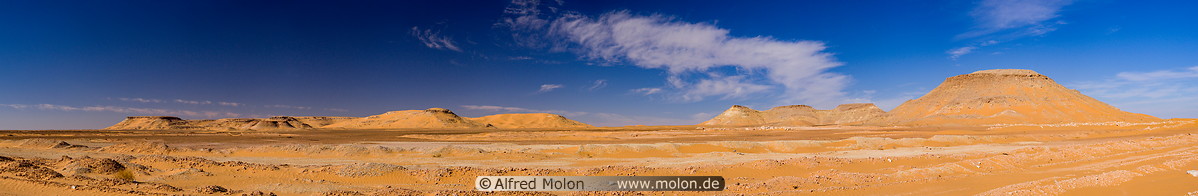 21 Western desert near El Golea
