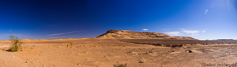 13 Western desert near El Golea