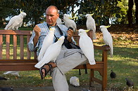 09 Sulphur crested cockatoos and tourist