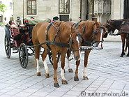 17 Horse carriage