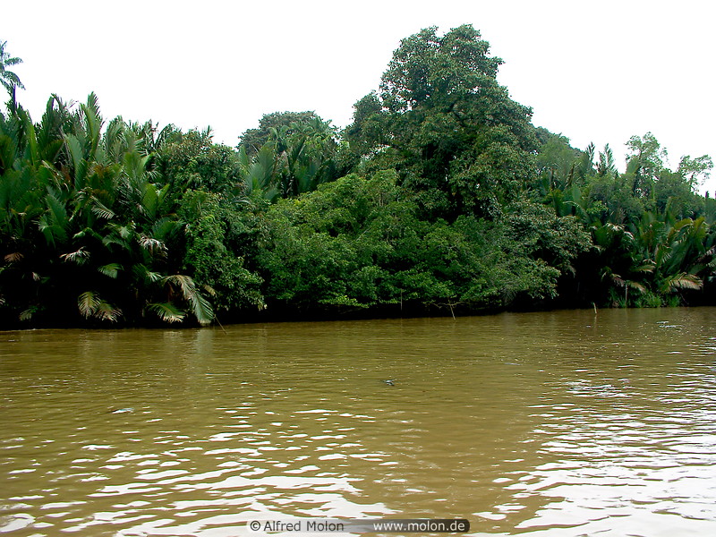 01 Brunei river