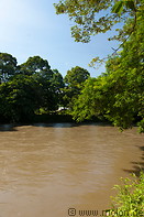 03 Rainforest along Sungai Temburong river