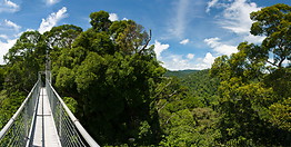 09 Canopy walkway and rainforest