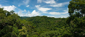Ulu Temburong national park photo gallery  - 39 pictures of Ulu Temburong national park
