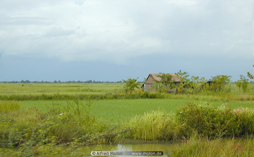 02 Rice field and hut