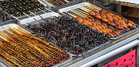 08 Fried spiders, centipedes and maggots