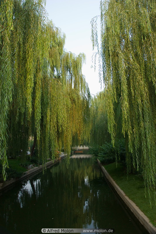 03 Channel and weeping willow trees
