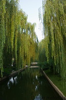 03 Channel and weeping willow trees