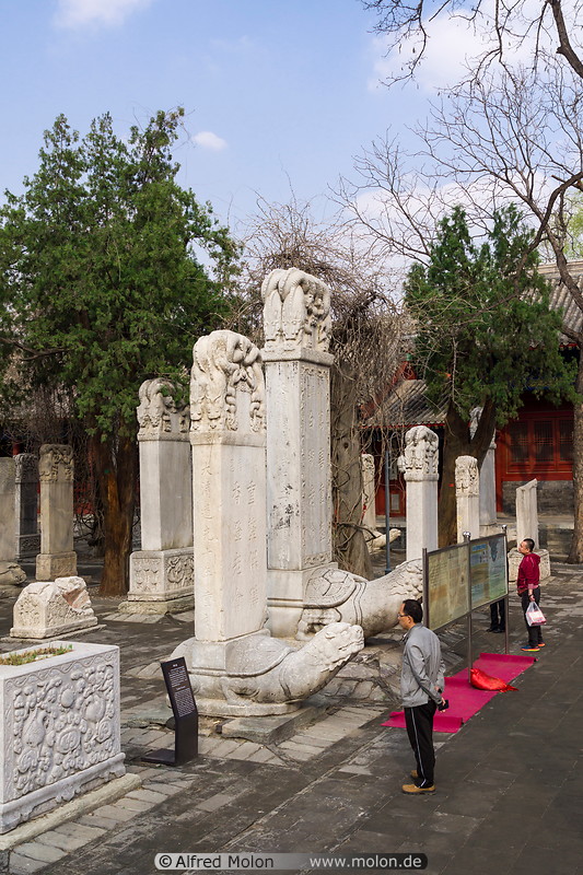06 Turtle pillars in Dongyue temple