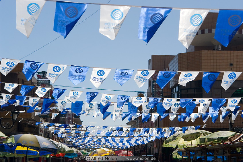 18 White and blue flags
