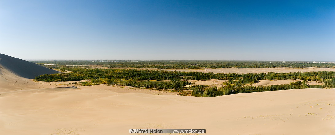 01 Panoramic view of cotton fields bordering desert