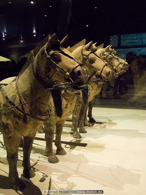 06 Statues of horses