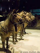 06 Statues of horses
