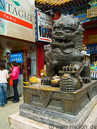 10 Bronze lion statue