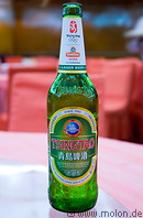 12 Green Tsingtao beer bottle