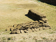 16 Yak manure drying in the sun