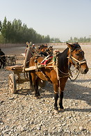 08 Horse cart