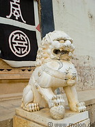 15 Lion statue