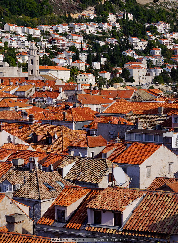 08 Old town rooftops