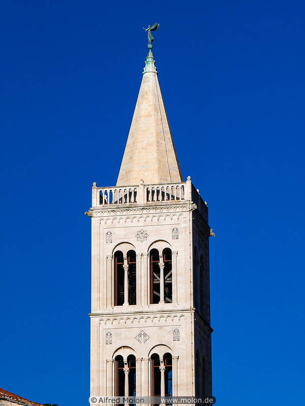 26 St Donatus church tower