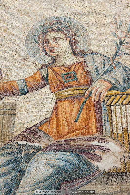 45 Roman mosaics