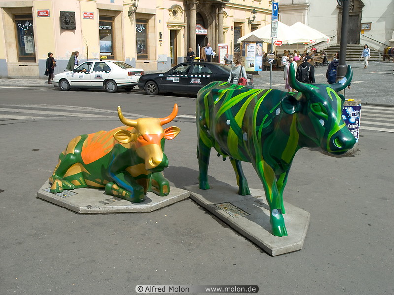 13 Painted cow statues