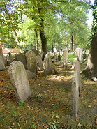 21 Old jewish cemetery