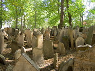 22 Old jewish cemetery