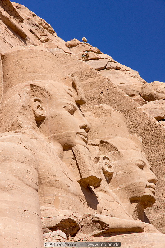 18 Statues of Ramses II