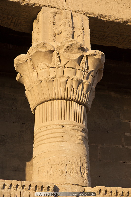 11 Columns of Roman birth house