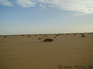 09 Desert