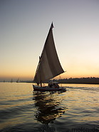 11 Feluccas on the Nile in the evening