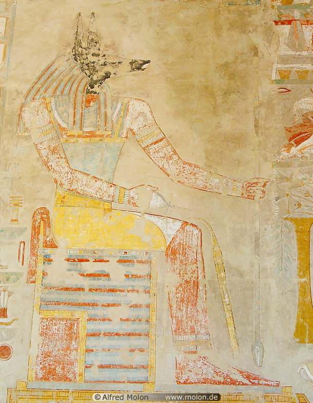 22 Wall painting showing the god Anubis