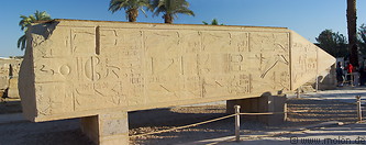 28 Fallen obelisk of Hatshepsut