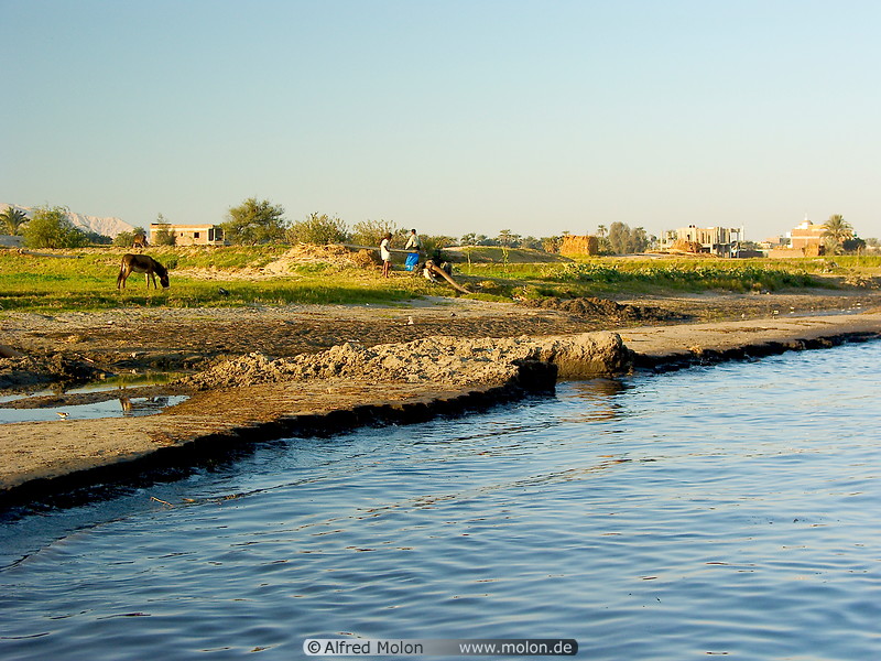 11 Nile river bank