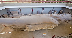 13 Limestone statue of Ramses II