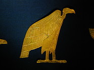 06 Golden vultures