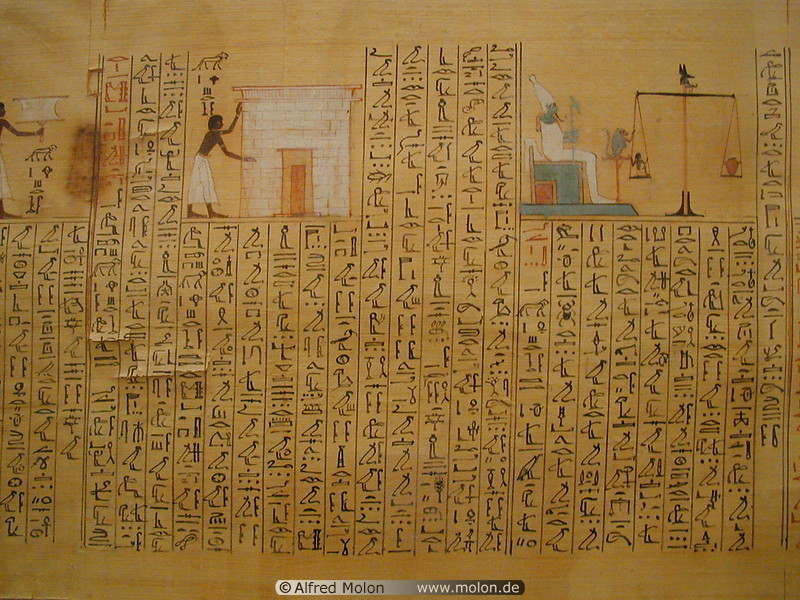 07 Papyrus