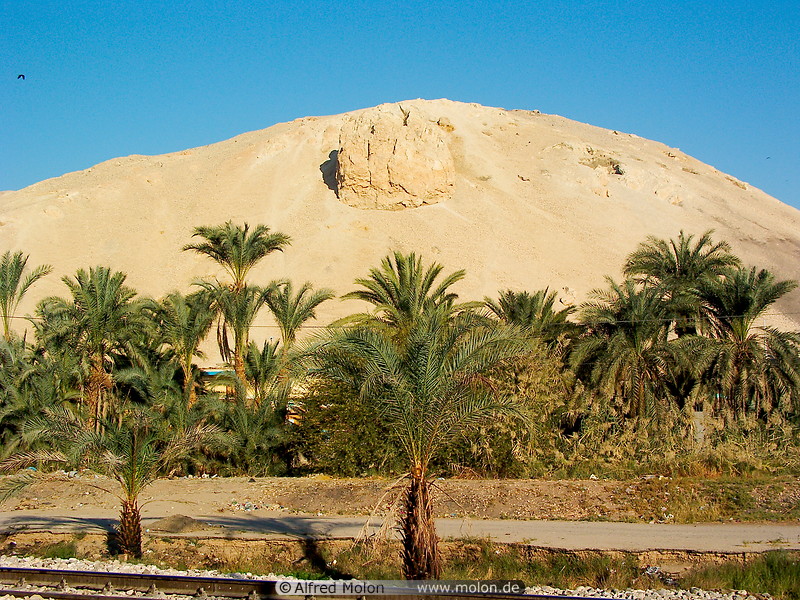 05 Hill of eroded chalk and limestone overlying black shale and date palms
