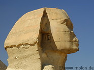 29 Head of the Sphinx