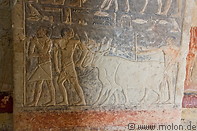 25 Frescoes inside the Mereruka tomb