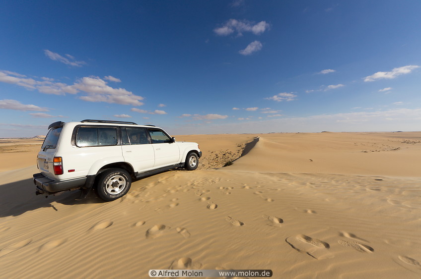 03 4WD car in the desert
