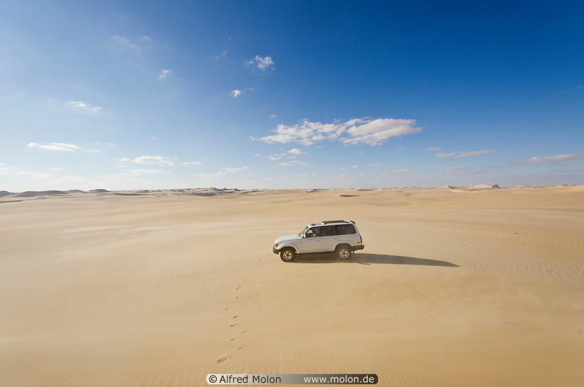 06 4WD car in the desert