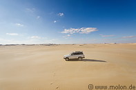 06 4WD car in the desert
