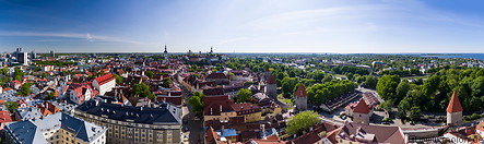 08 Tallinn