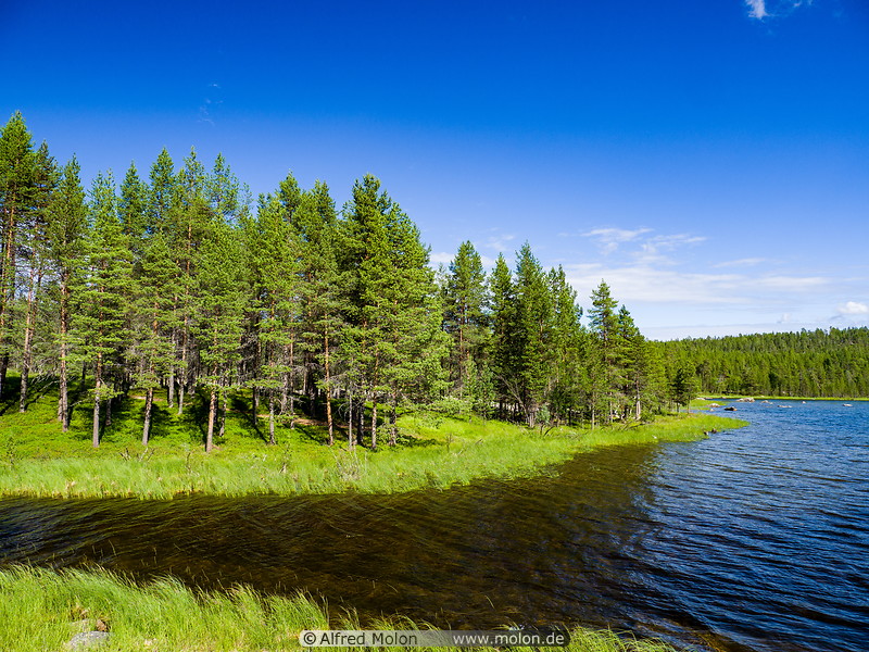 14 Leviasalmi lake in northern Finland